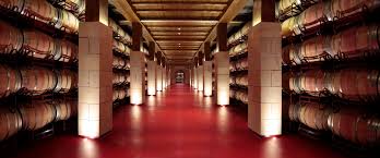 Riojan wineries barrel room