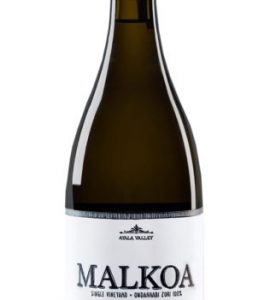 Astobiza Malkoa