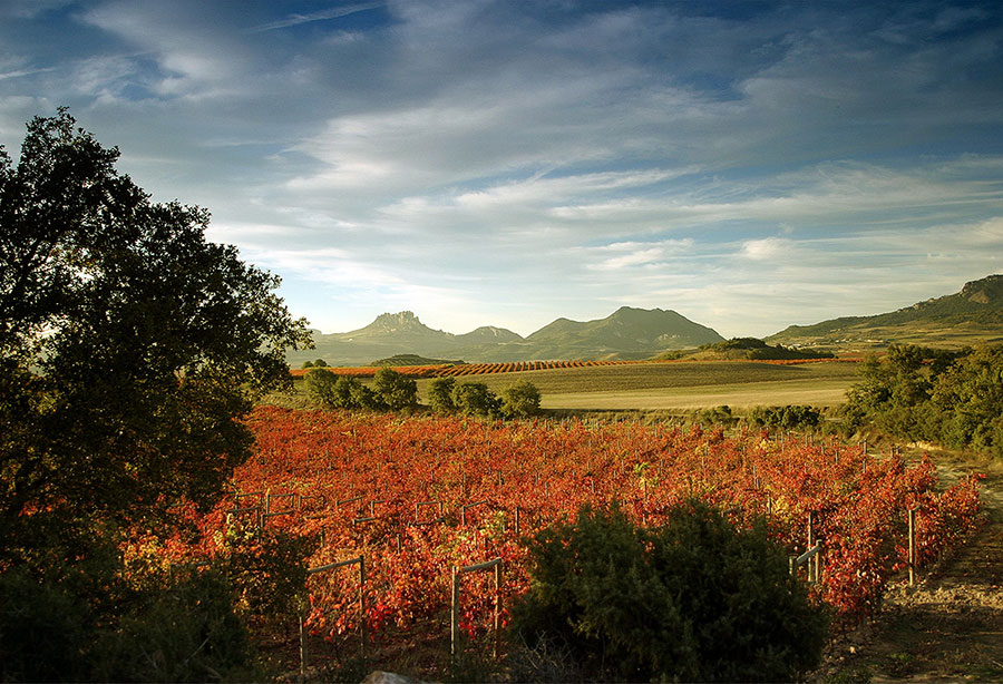 5 bodegas que no te puedes perder 5 bodegas que no te puedes perder