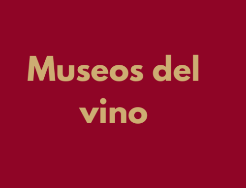 Museos del vino: Los 4 museos que debes visitar