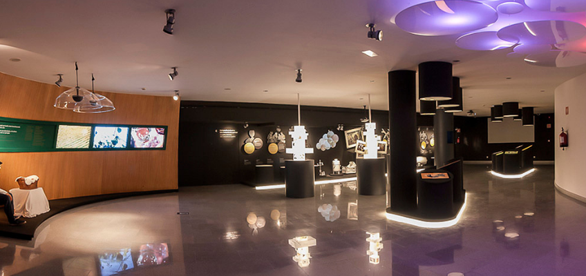 Museos del vino: Los 4 museos que debes visitar 7 museos del vino