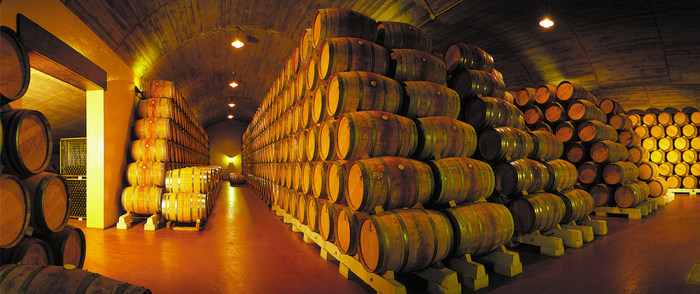 LUIS CAÑAS SALA DE BARRICAS
