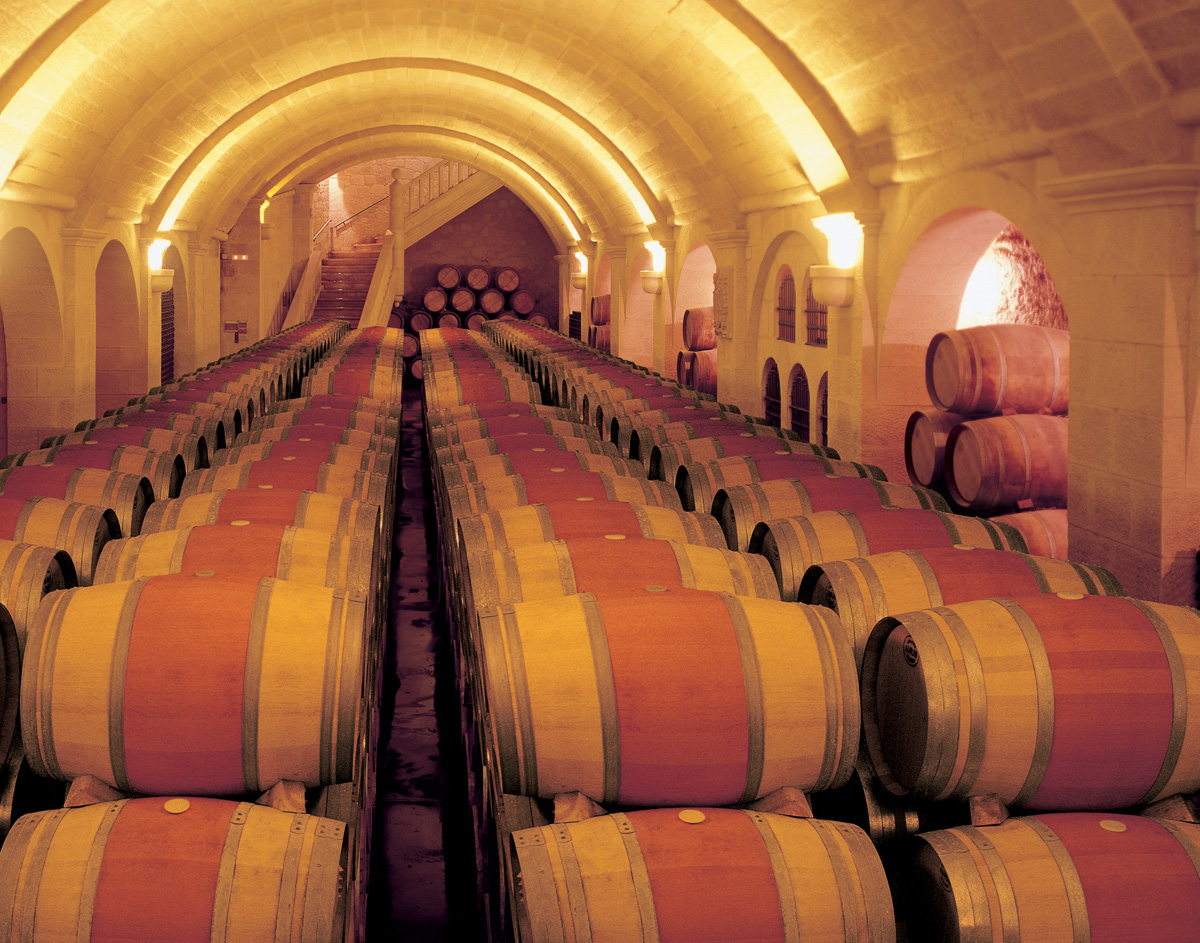 Weingüter Lord of San Vicente Barrel Room