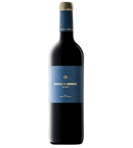 Castillo De Mendoza Reserva 2013
