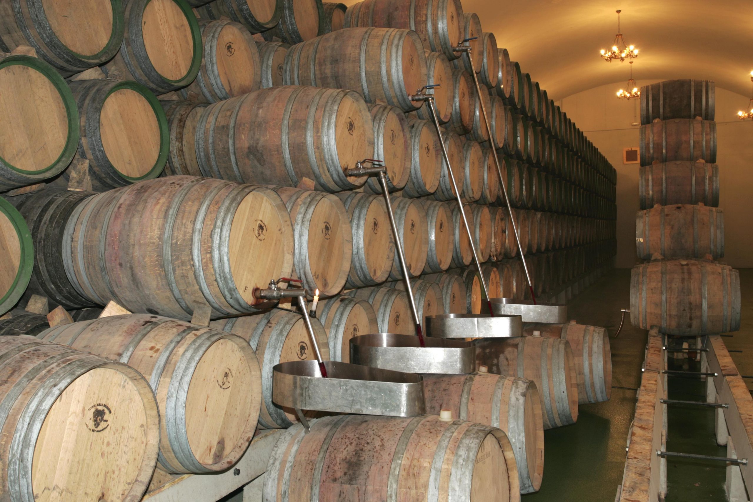 Inicio 16 tienda online de vinos
