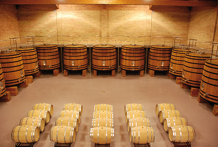 bodegas señorio de villarrica sala de barricas