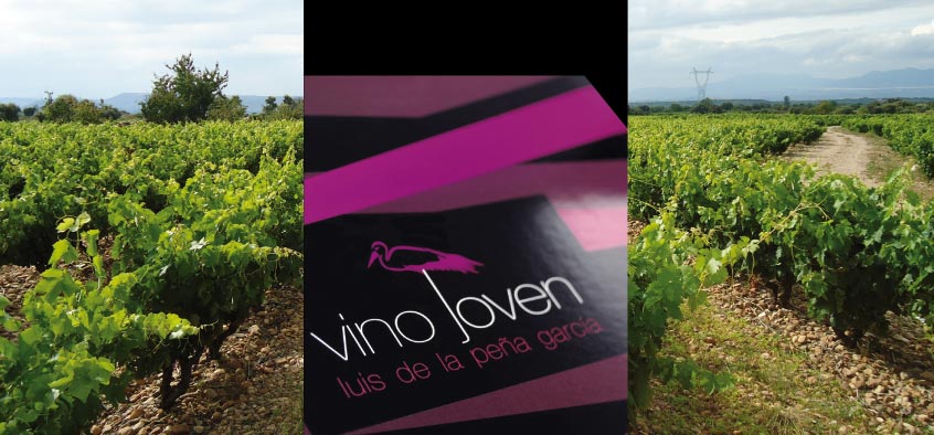 luis de la peña wines