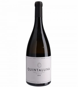 Ossian Quintaluna Magnum 2018