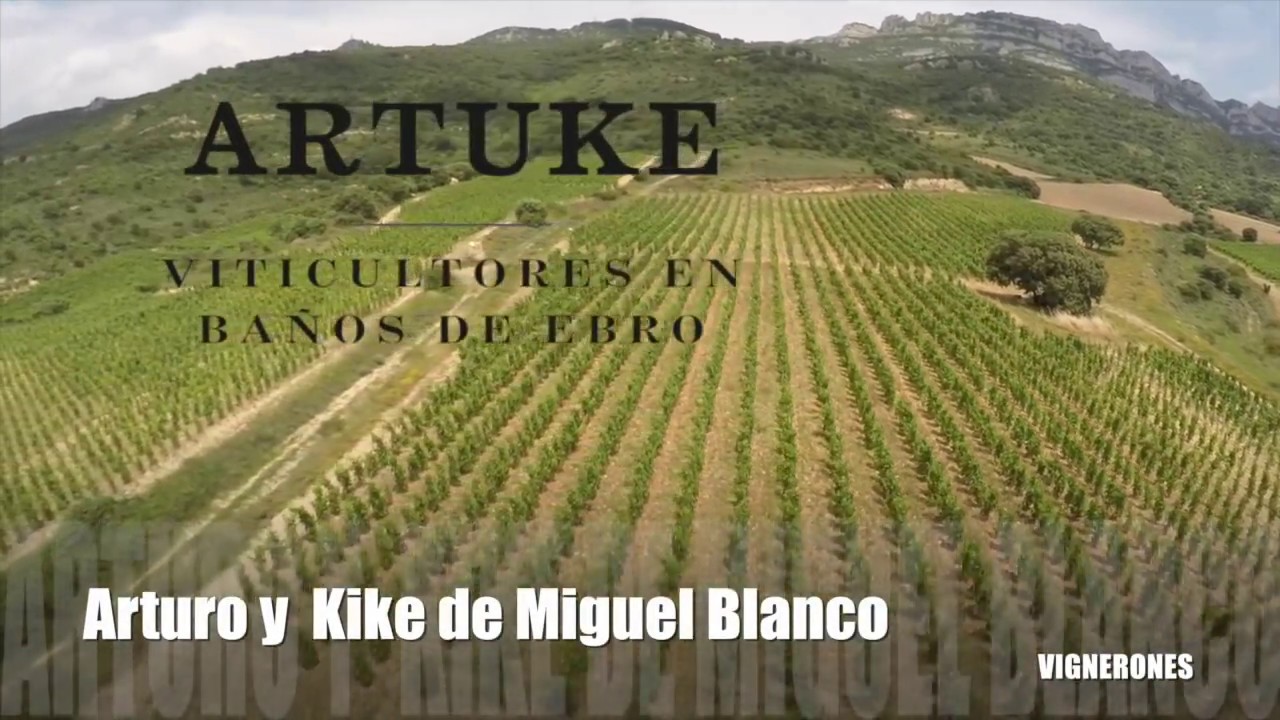 viñedos bodegas artuke