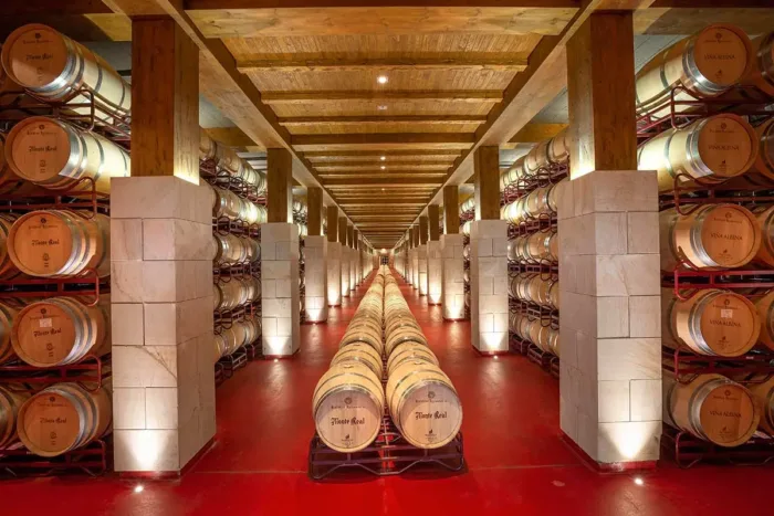 Bodegas Riojanas Cenicero DOC Rioja Sala de,Barricas
