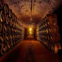 R.Lopez de Heredia DOC Rioja Cementerio de la Bodega