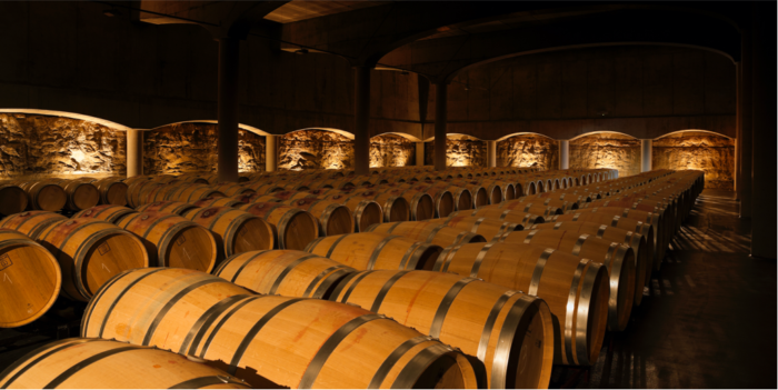 Bodegas Castillo de Mendoza San vicente de la Sonsierra DOC Rioja Entrada
